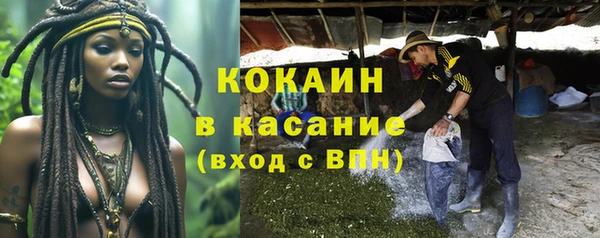 прущие грибы Абдулино