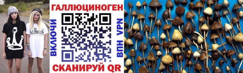 Галлюциногенные грибы мухоморы  Железноводск 