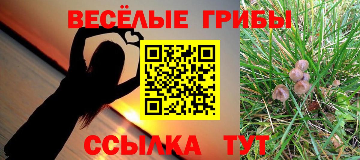 Галлюциногенные грибы Cubensis Железноводск